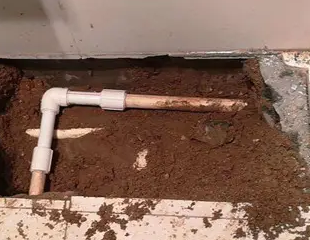 建宁测漏水哪家好