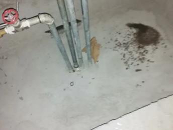 建宁卫生间测漏水价格明细