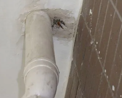 建宁漏水检测哪家好